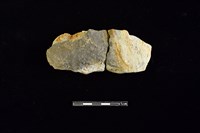 藏品(陶片)的圖片